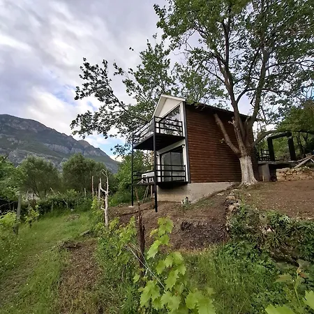 Koman Paradise Shkodër